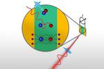 Quantum Physics Sets a Speed Limit to Electronics