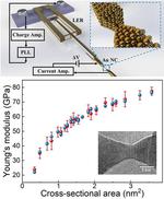No Small Measure: Probing the Mechanics of Gold Contacts at the Nanoscale