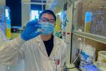 Quantum innovation advances low-cost alternative solar technology