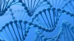 Quantum mechanics could explain why DNA can spontaneously mutate