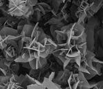 Impossible materials are created under extreme pressure