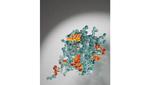 Magnetic resonance makes the invisible visible