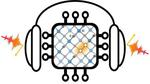 Argonne scientists use quantum computers to simulate quantum materials