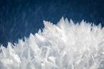 Researchers Demonstrate Organic Crystals Can Serve as Energy Converters for Emerging Technologies
