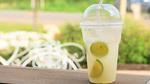 Scientists make plastic more degradable under UV light