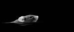 The limits of vision: seeing shadows in the dark