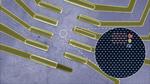 Unique Quantum Material Could Enable Ultra-powerful, Compact Computers