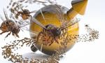 When quan­tum par­ti­cles fly like bees