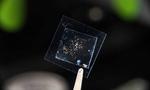Quest for elusive monolayers just got a lot simpler