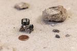 UCLA engineers create single-step, all-in-one 3D printing method to make robotic materials