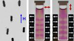 Technique Allows Researchers to Align Gold Nanorods with Magnetic Fields