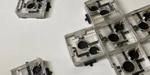 New biobatteries use bacterial interactions to generate power for weeks