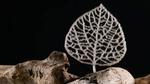 New PET-like plastic made directly from waste biomass