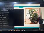 Smart Plant Irrigation with Health Detection