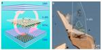 ITMO Scientists Suggest Way to Control Optical Properties of Novel 2D Materials in Low Temperatures