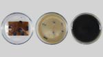 Designer Materials to Keep Plastic Out of Landfills