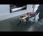 Polydog - Arduino Project