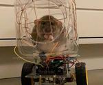 Build a Car With Touch Sensitive Steering for Your Rat