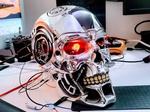 Terminator Skull