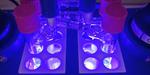Light as a tool for the synthesis of complex molecules