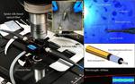 Researchers Create Biosensor by Turning Spider Silk into Optical Fiber