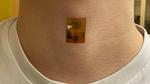 The bacteria powering a truly green revolution in personal electronics