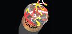 Customized fiber generates Bessel beams