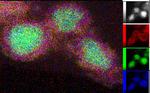 Green hydrogen: Nanostructured nickel silicide shines as a catalyst