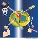 Heat and manipulate, one cell at a time