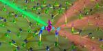 2D array of electron and nuclear spin qubits opens new frontier in quantum science