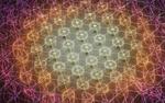 Collective actuation of an elastic network of mini-robots