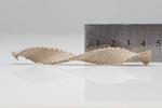 Your next wooden chair could arrive flat, then dry into a 3D shape