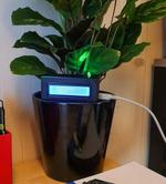 Build Your Own Plant Humidity Sensor