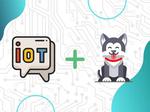 IoT Automatic Dog Feeder
