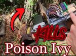 Plant Identifying, Poison Ivy Killing Gloves