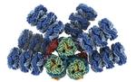 MSU researchers help reveal a ‘blueprint’ for photosynthesis