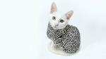 New Fur For The Quantum Cat. Quantum Materials: Entanglement Of Many Atoms Discovered For The First Time