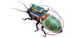 Robobug: a rechargeable, remote-controllable cyborg cockroach