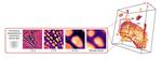 Machine learning generates 3D model from 2D pictures