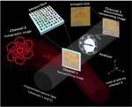Metasurface engineered to create three different images depending on illumination