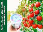 Rooftop tomato plant monitoring system