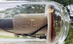 Bioplastics made of bacteria to reduce plastic waste in oceans