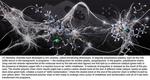Process converts polyethylene bags, plastics to polymer building blocks