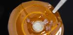 Taking salt out of the water equation