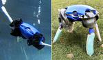 With morphing limbs, a robot that travels by land and water