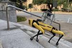 Can Robots and Humans Co-exist in Public? UT Campus Study Will Offer Answers
