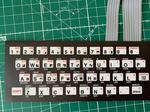 Read a ZX81 keyboard with Arduinos and build things with it