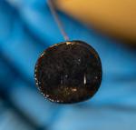 Bacterial sensors send a jolt of electricity when triggered