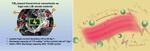 The Answer is in the Sheets: 2D Nanosheets as Anodes in Li-Ion Batteries