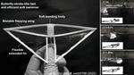 ‘Butterfly Bot’ is Fastest Swimming Soft Robot Yet